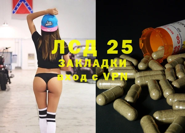 ПСИЛОЦИБИНОВЫЕ ГРИБЫ Навашино