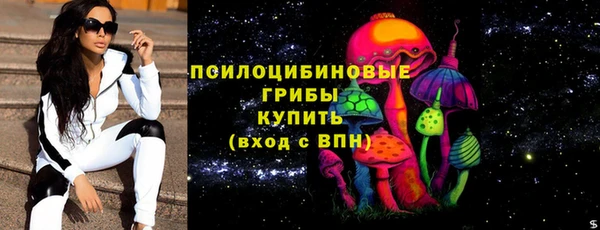 ПСИЛОЦИБИНОВЫЕ ГРИБЫ Навашино