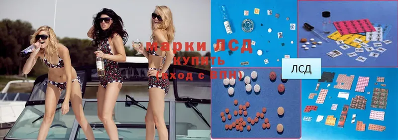 Лсд 25 экстази ecstasy  как найти   Пучеж 