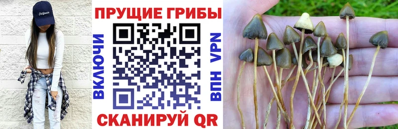 Псилоцибиновые грибы ЛСД  Пучеж 
